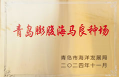 青岛膨腹海马良种场