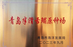 青岛半滑舌鳎原种场